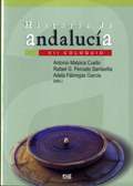 Foto de Historia de Andaluca. VII Coloquio